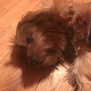 Meet your Posher, Zuleyka